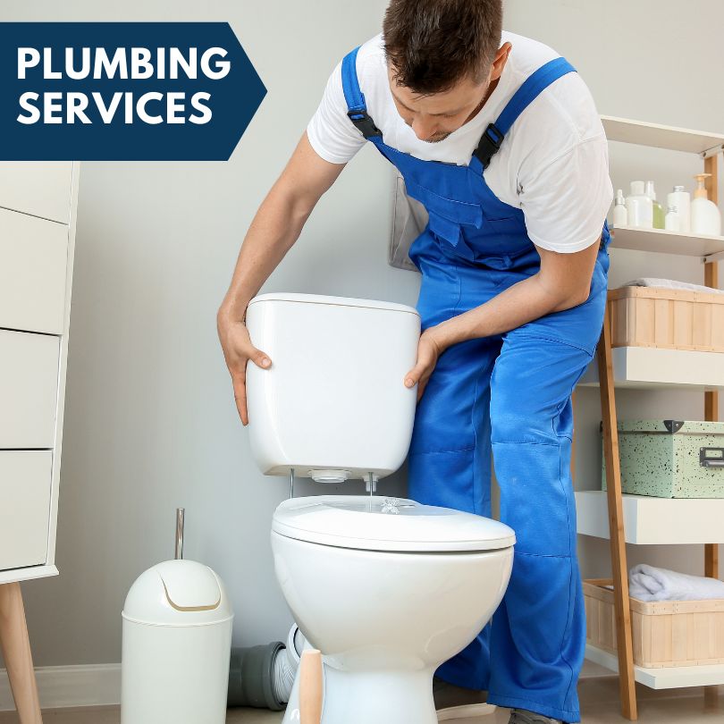 Plumbing Company in Stanton, MI
